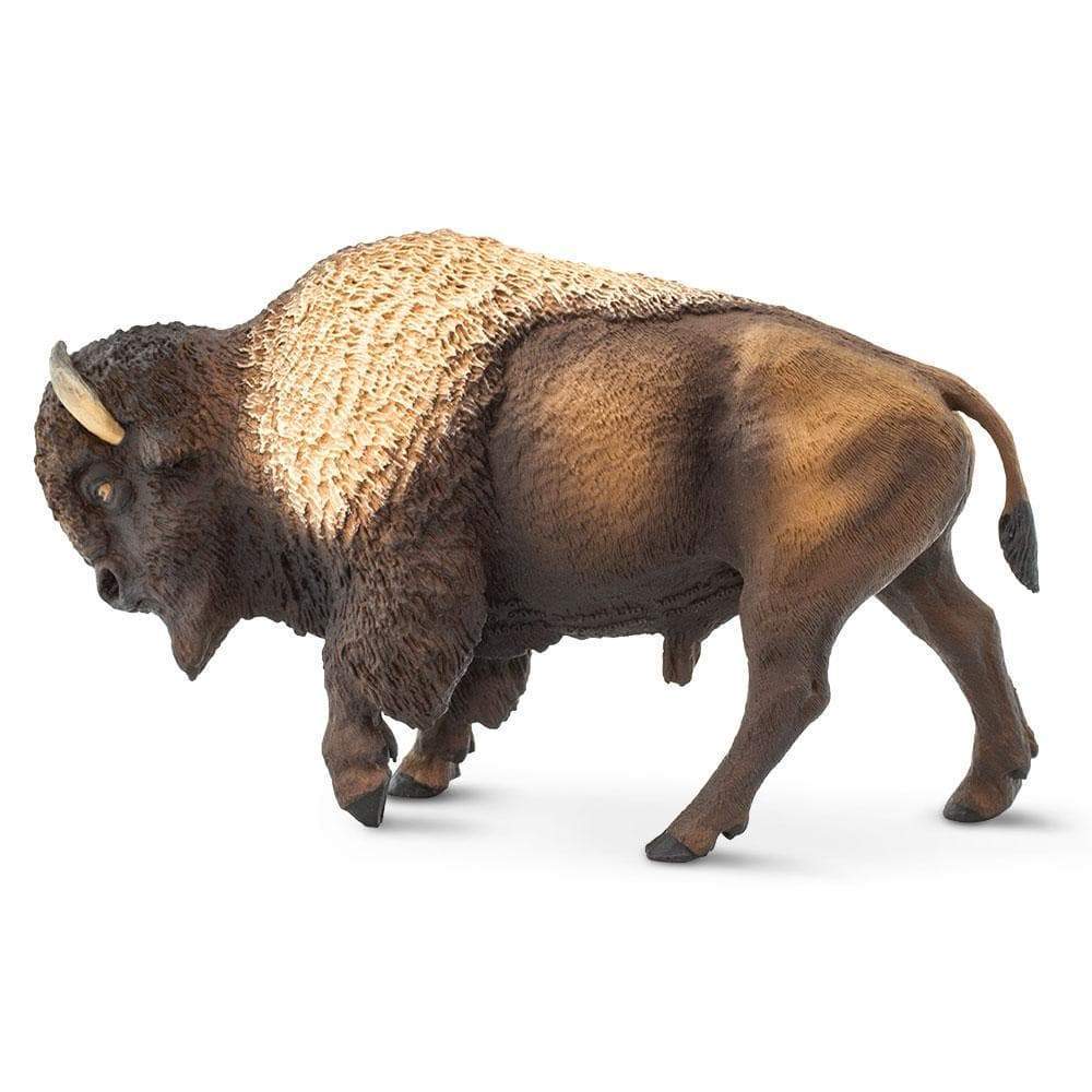 Bison or American Buffalo by Safari — Outback Toys