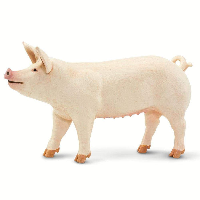 White Pig by Safari Ltd