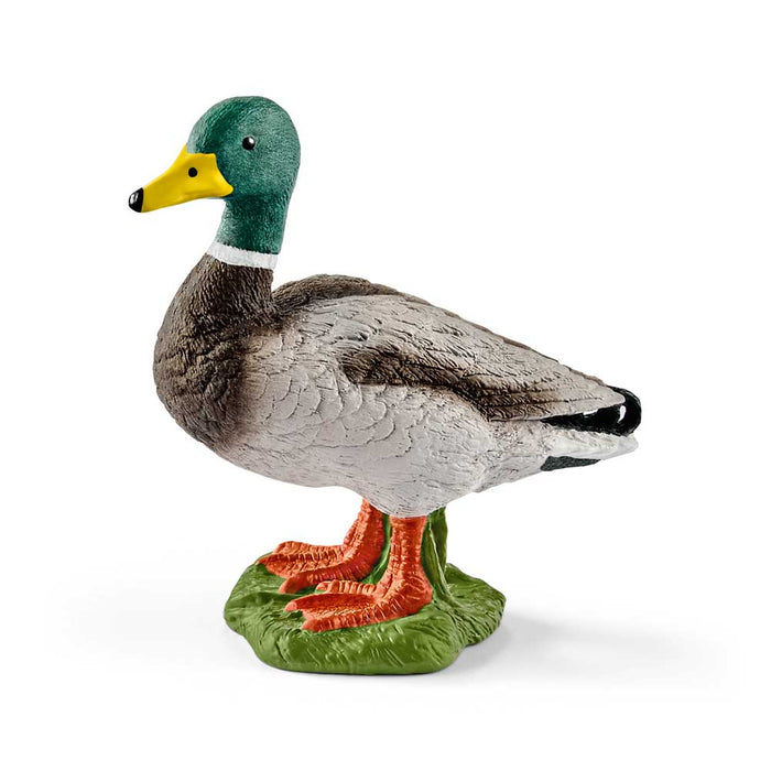 Drake (Duck) By Schleich