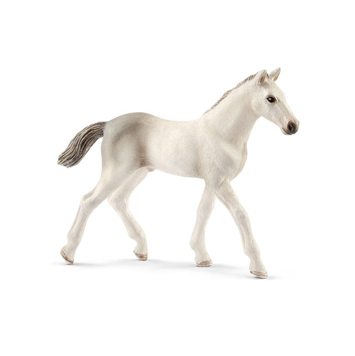 Holsteiner Foal  (Horse) by Schleich