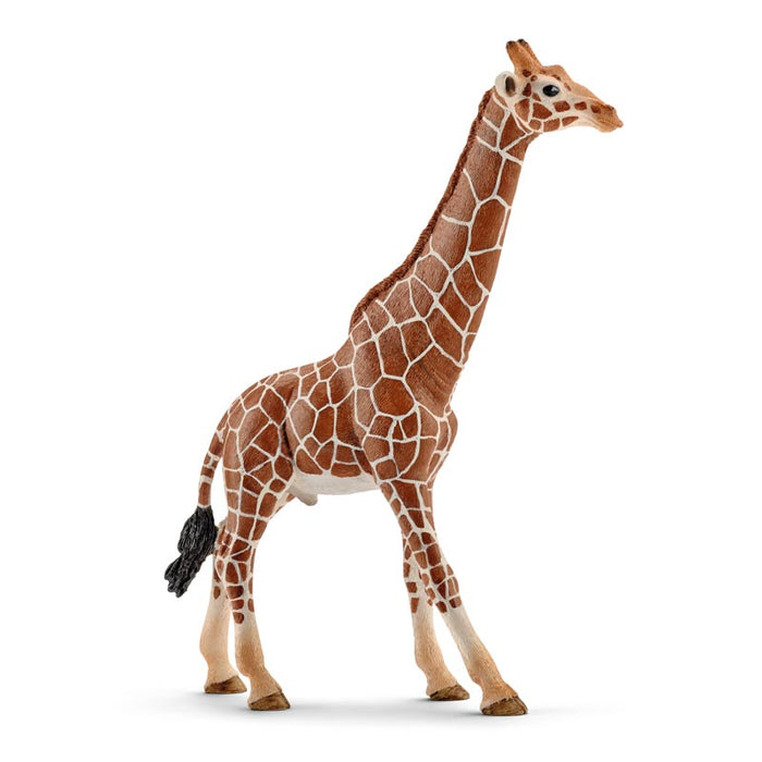 Giraffe Male by Schleich