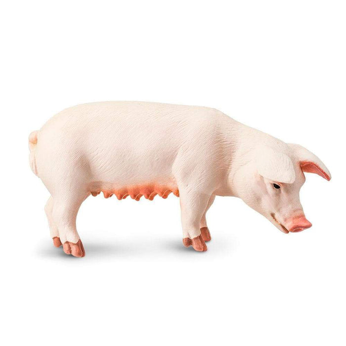 Sow Pig by Safari Ltd