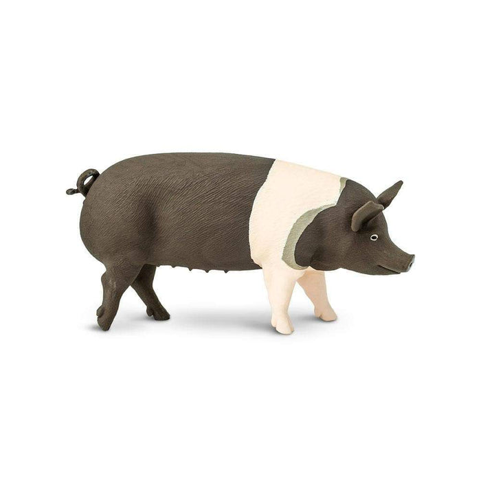 Hampshire Pig by Safari Ltd