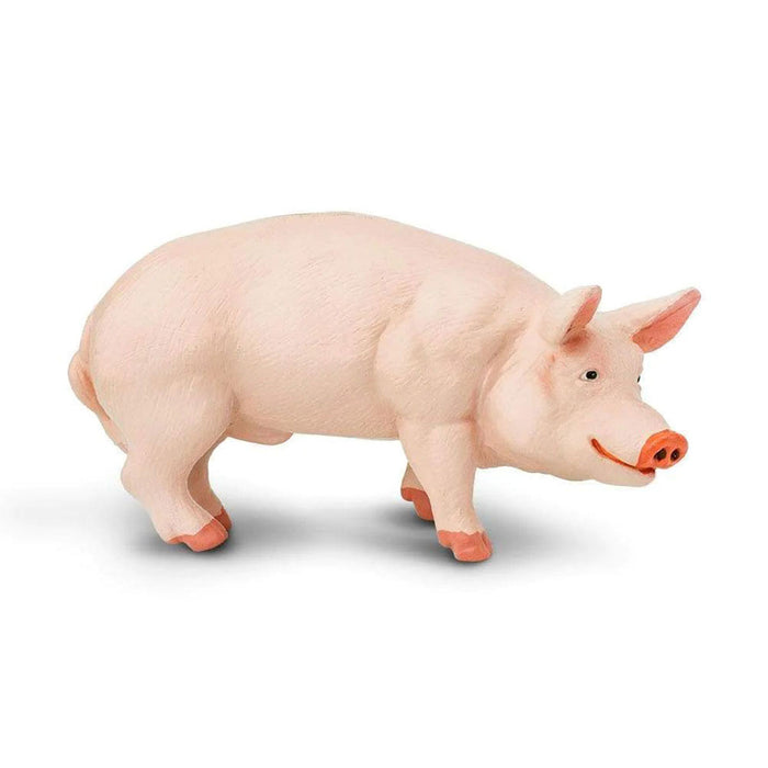 Pink Boar Pig by Safari Ltd
