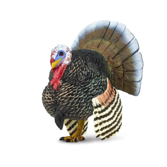 Male Turkey by Safari Ltd