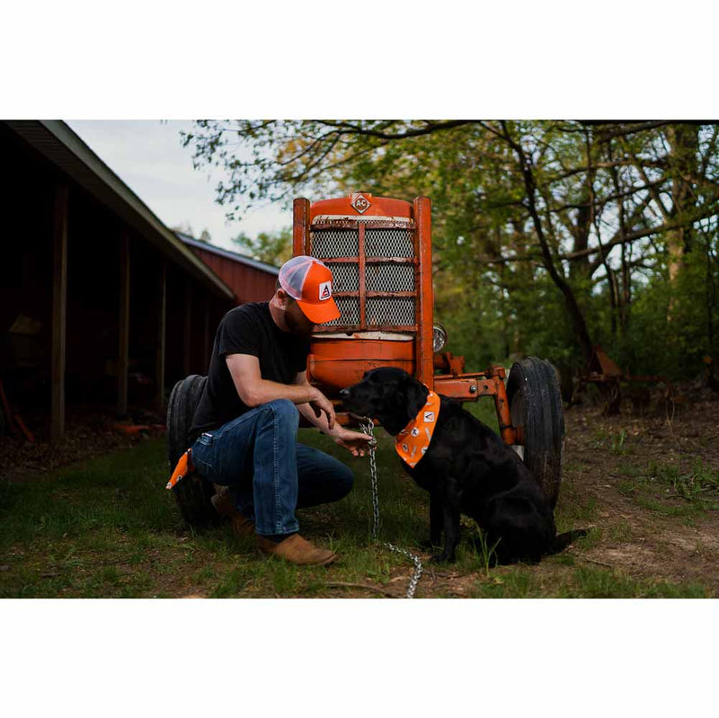 Modern Allis Chalmers Logo White Mesh Back Hat