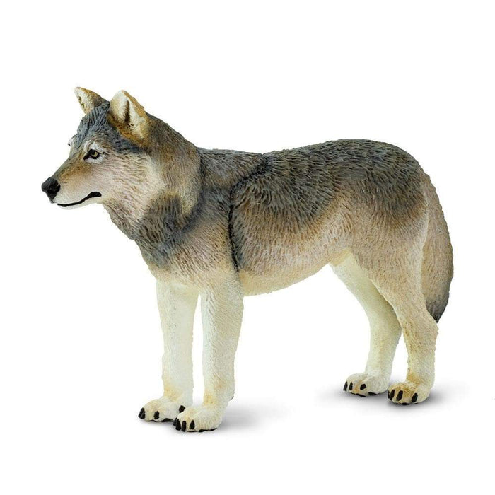 Gray Wolf by Safari Ltd