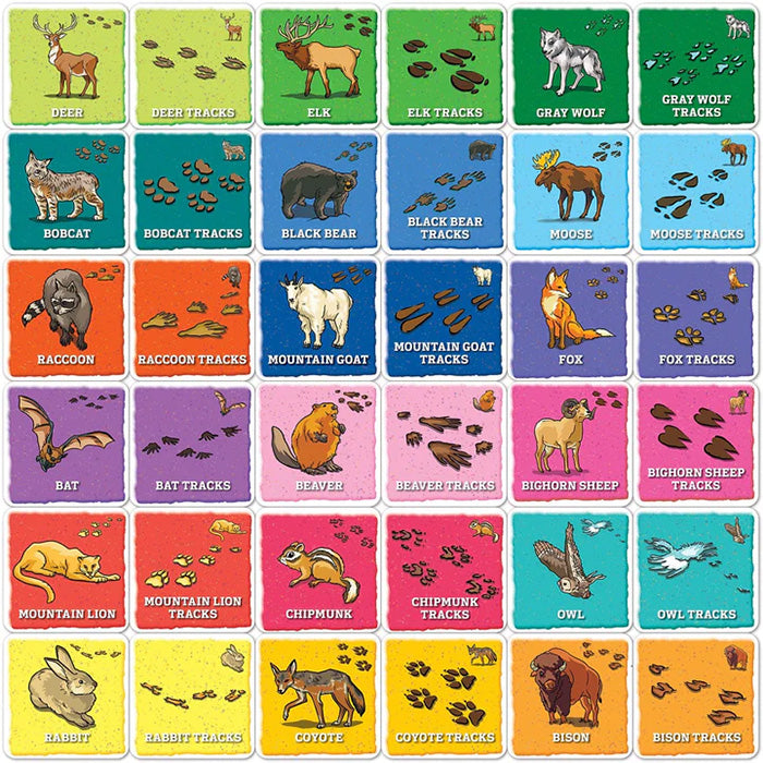 Junior Ranger Animal Tracks Matching Game