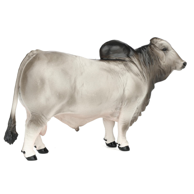 1/16 Brahman Show Bull by Little Buster Toys