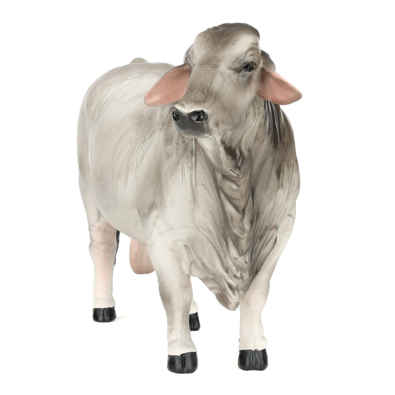 1/16 Brahman Show Bull by Little Buster Toys
