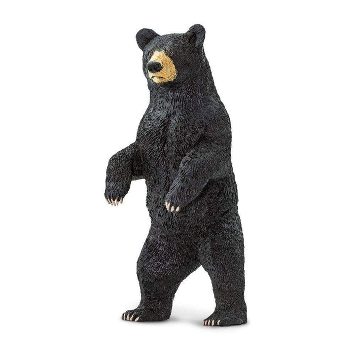 Standing Black Bear by Safari Ltd