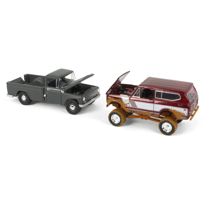 "Off Road" ~ 1/64 Exclusive Limited Edition International 2 Pack: 1965 Model 1200 & Muddy 1979 Scout