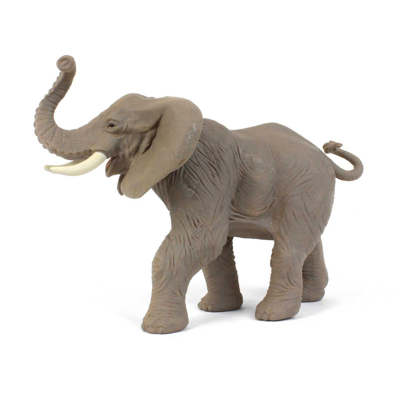 African Elephant by Safari