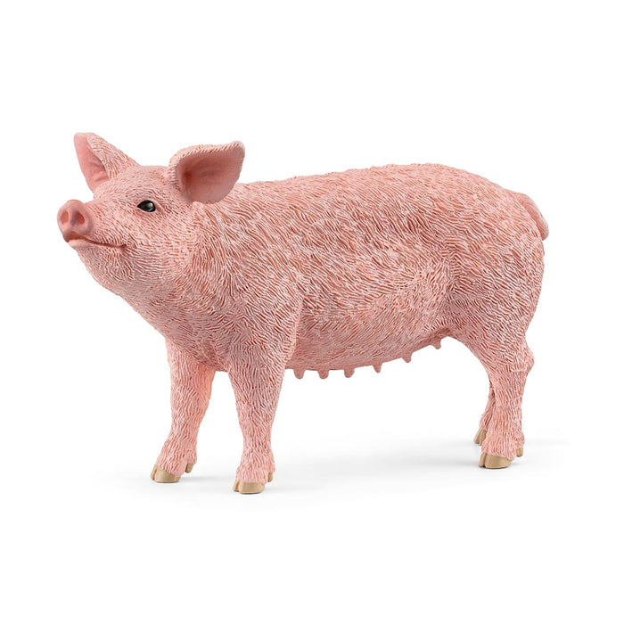 Pig by Schleich new 2022