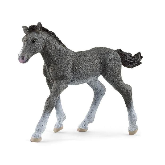 Trakehner Foal by Schleich