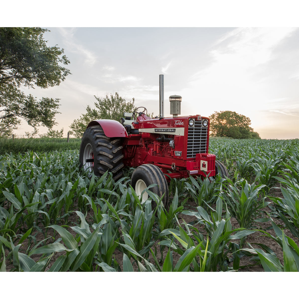 Red Tractors 1958-2022: The Authoritative Guide to International Harve ...