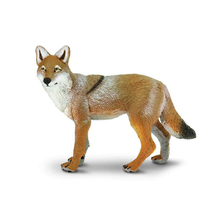 Coyote by Safari Ltd