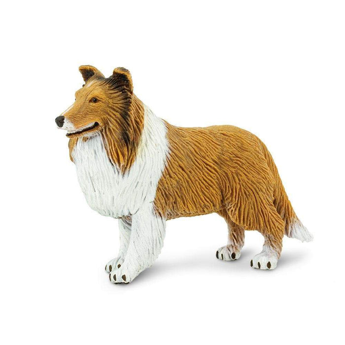 Collie Dog by Safari Ltd