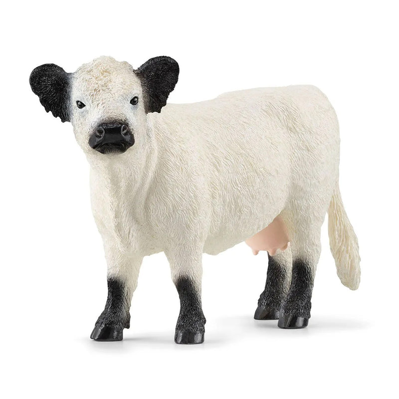 Galloway Cow by Schleich