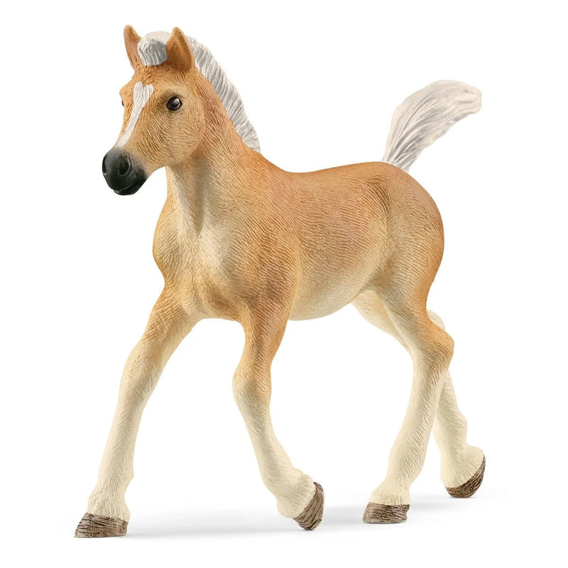 Haflinger Foal by Schleich