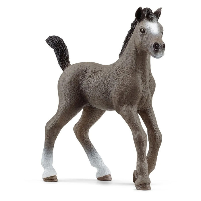 Selle Francais Foal by Schleich