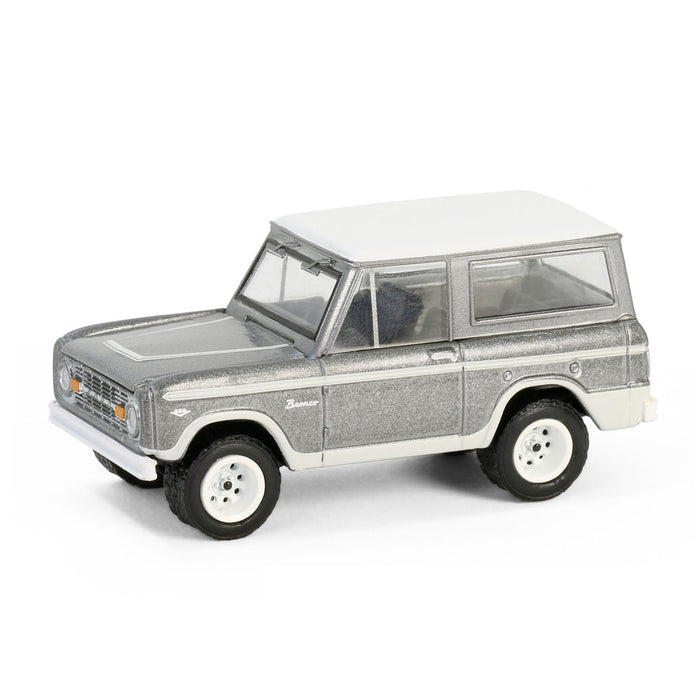 1/64 1967 Ford Bronco, Counting Cars, Hollywood Series 42