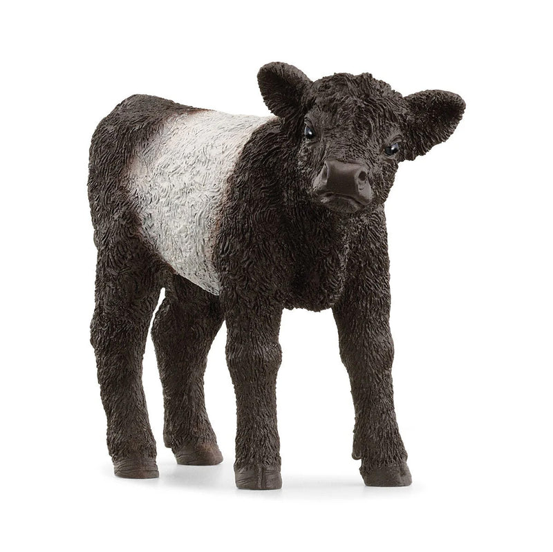 Galloway Calf by Schleich