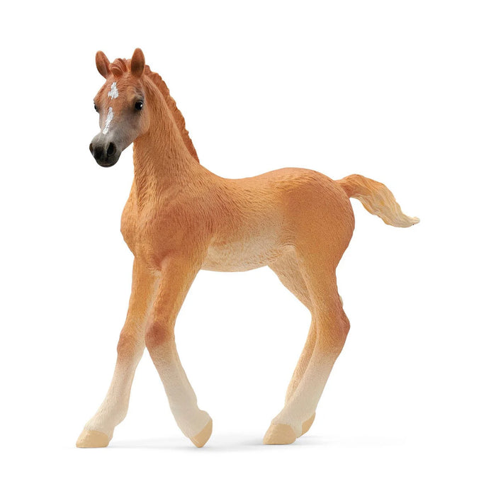 Arabian Foal by Schleich