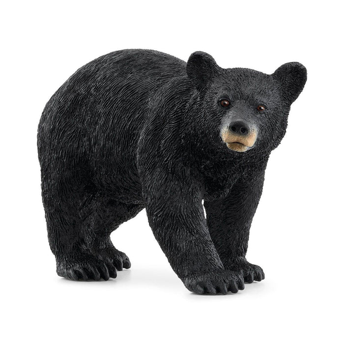 American Black Bear by Schleich