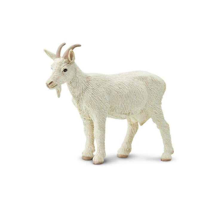 White Nany Goat by Safari