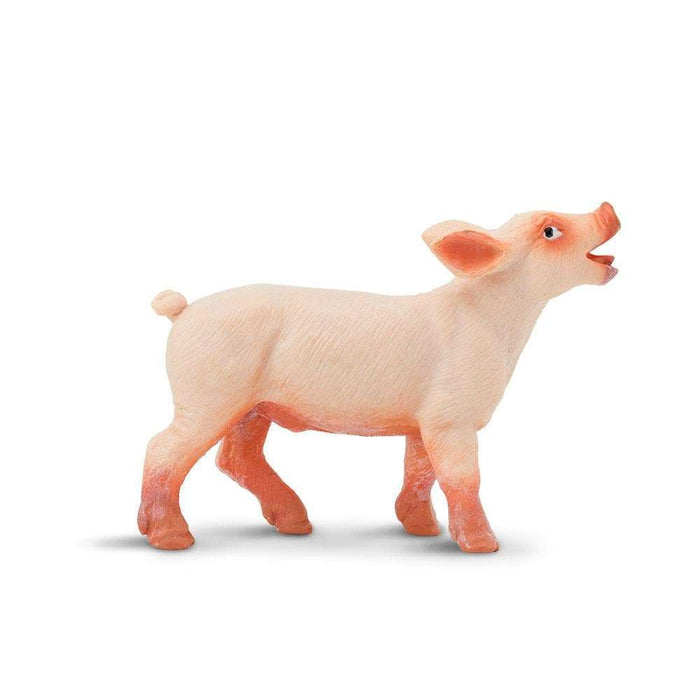 Piglet by Safari