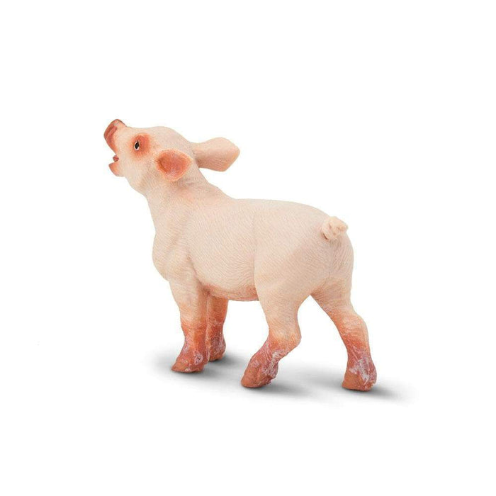 Piglet by Safari