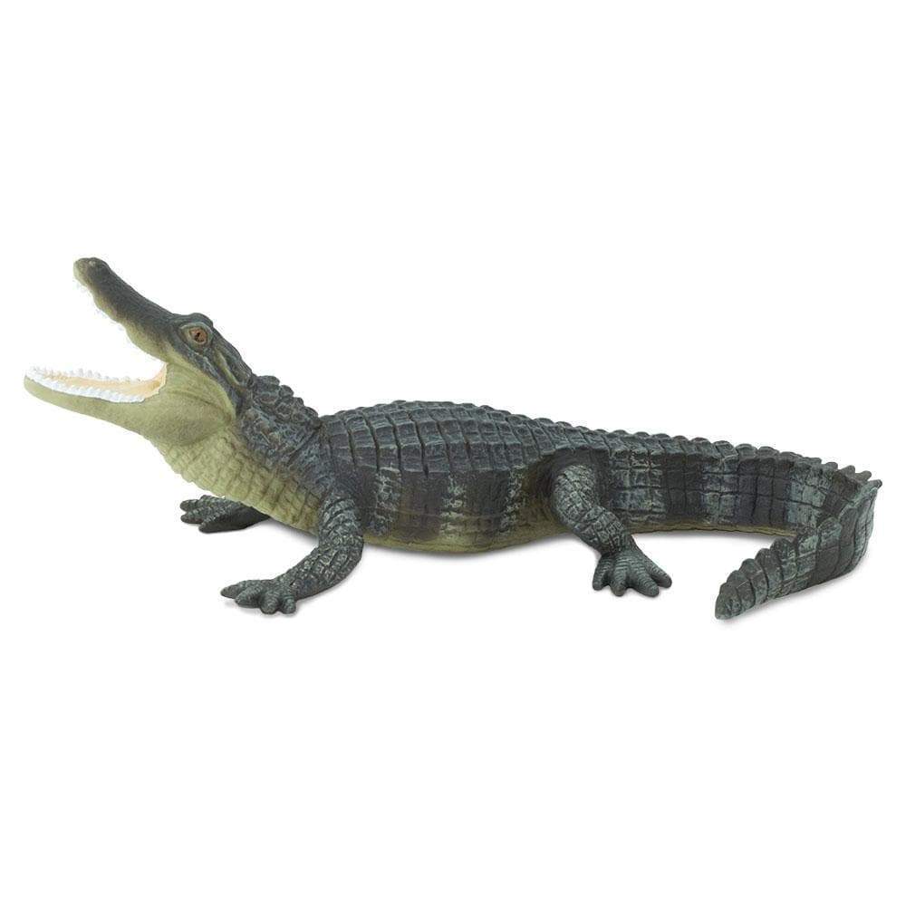 極美品 ALLIGATOR / アリゲーター 160K Alligator by Safari — Outback Toys
