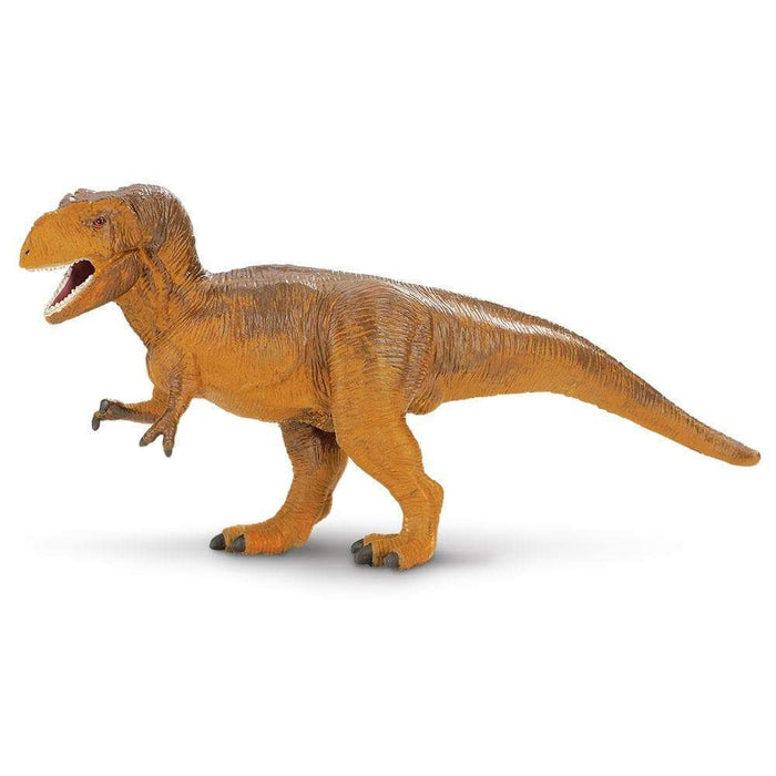 Tyrannosaurus Rex by Safari