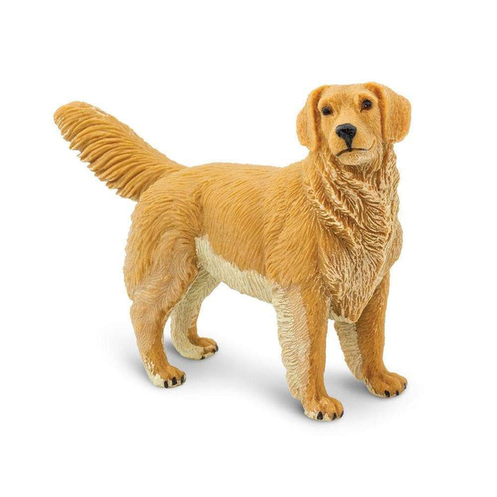 Golden Retriever by Safari