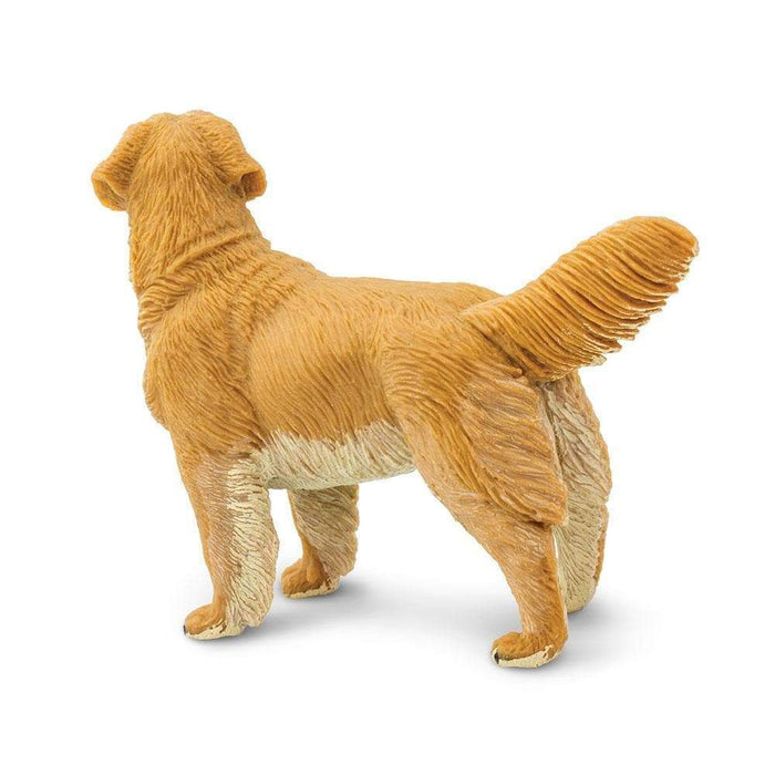 Golden Retriever by Safari