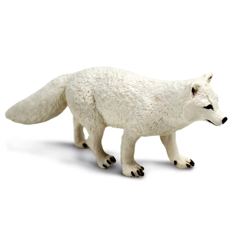 Arctic Fox by Safari