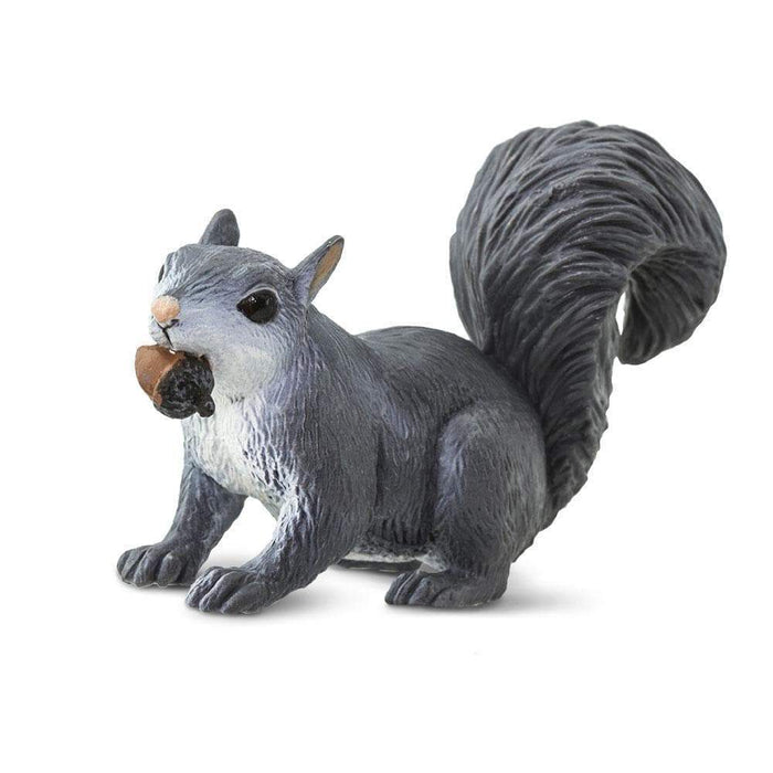 Gray Squirrel by Safari