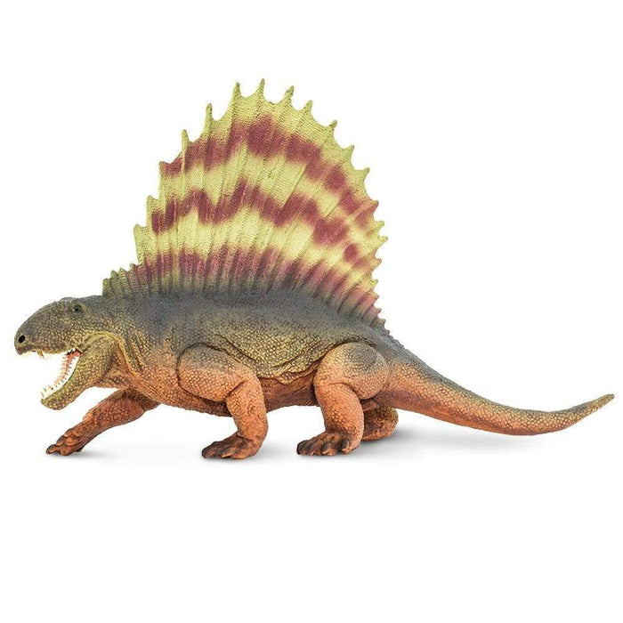 Dimetrodon Dinosaur by Safari