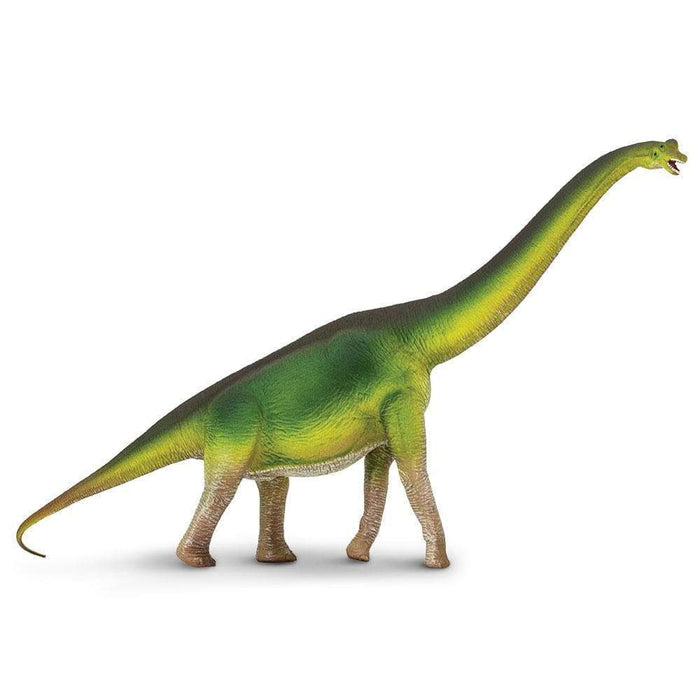 Brachiosaurus Dinosaur by Safari