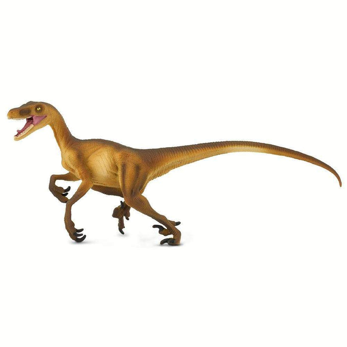 Velociraptor Dinosaur by Safari