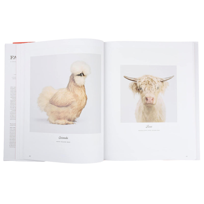 Farm Life by Randal Ford - Hardcover Book