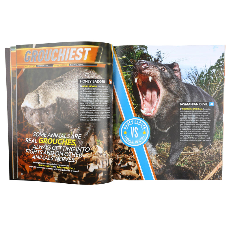 Animal Smackdown by Emily Krieger - Paperback Book