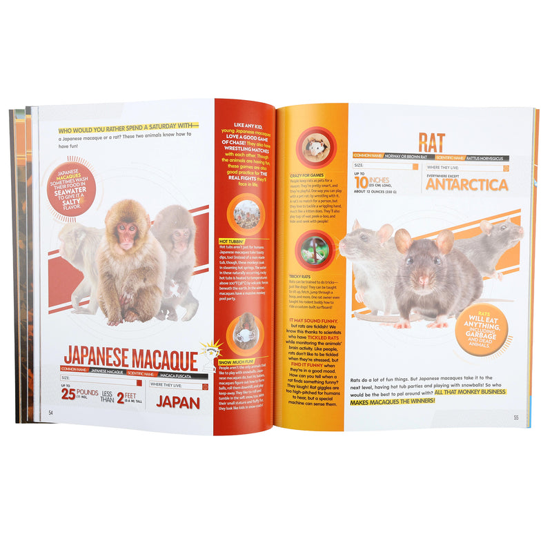 Animal Smackdown by Emily Krieger - Paperback Book