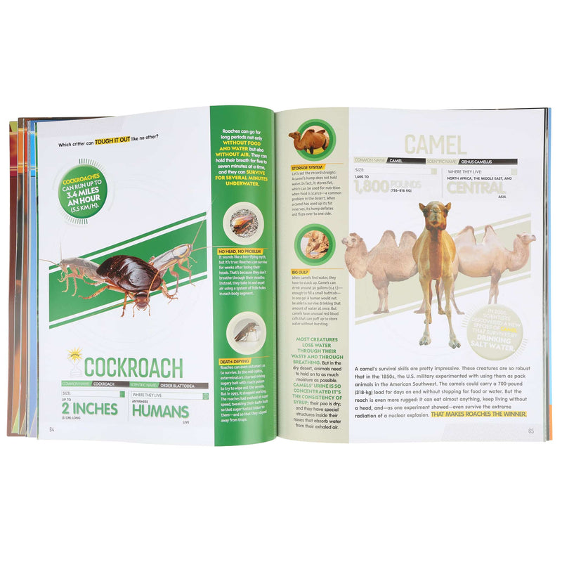 Animal Showdown: Round Three by Stephanie Warren Drimmer - Paperback Book