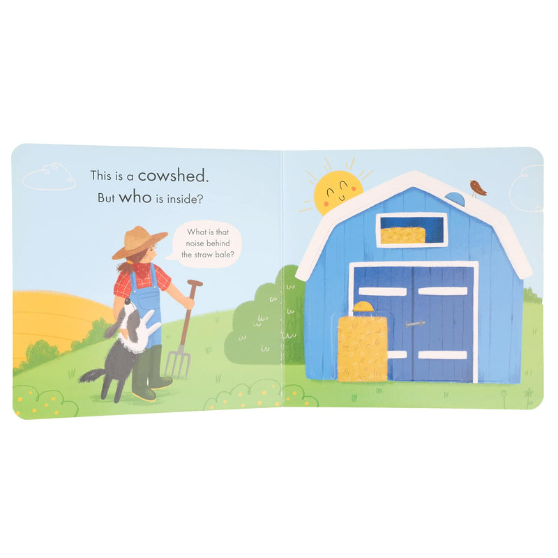 Baby's First Farm by Danielle McLean - Board Book